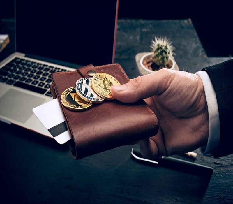Ecrypto1.com Crypto Wallets